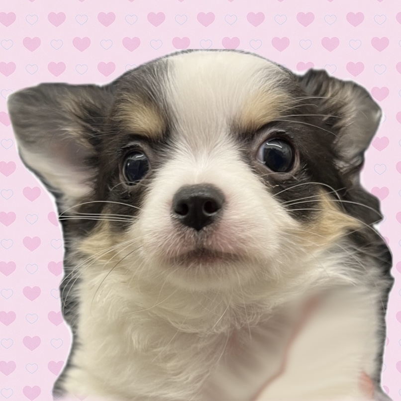 めるちゃん💕