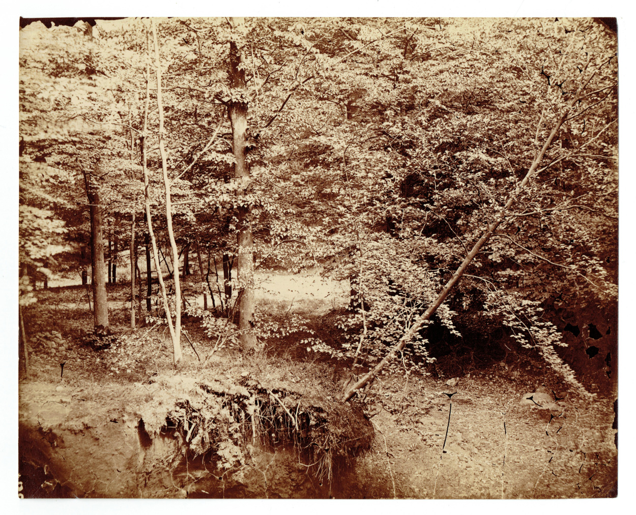 August Kotzsch, Landschaftsfotografie