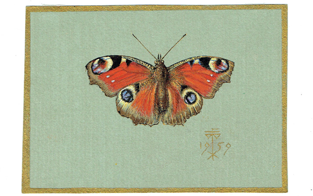 Walther Gasch, Motten und Schmetterlinge