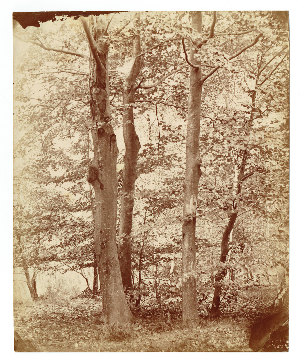 August Kotzsch, Landschaftsfotografie