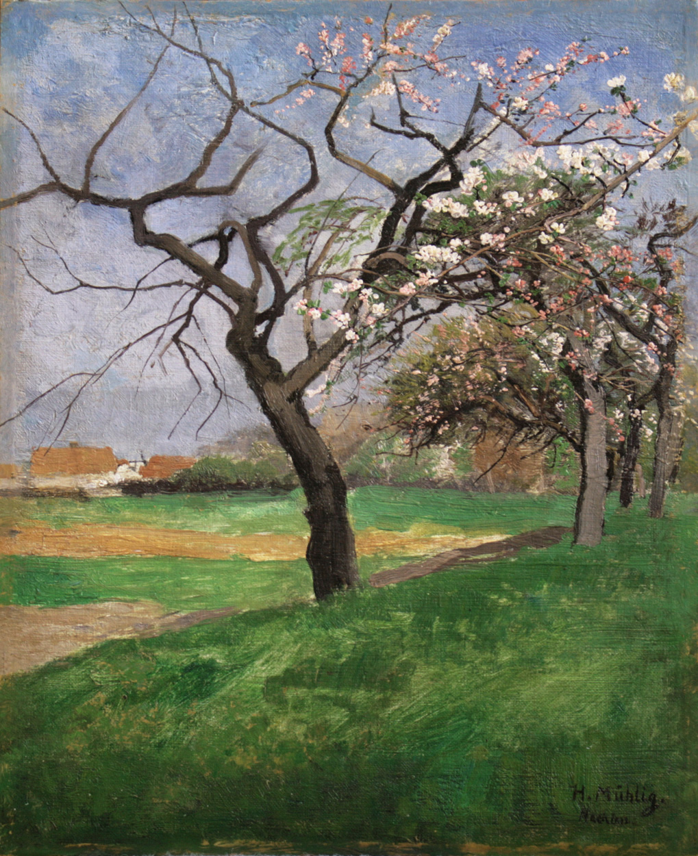 Hugo Mühlig, Baumblüte, Kirschblüte