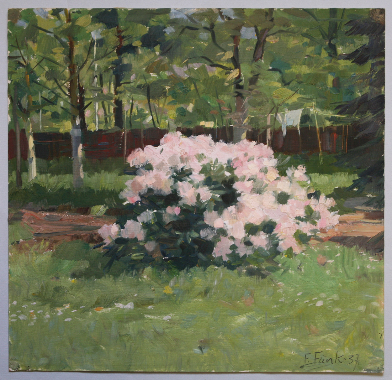 Felix Funk, Rhododendron