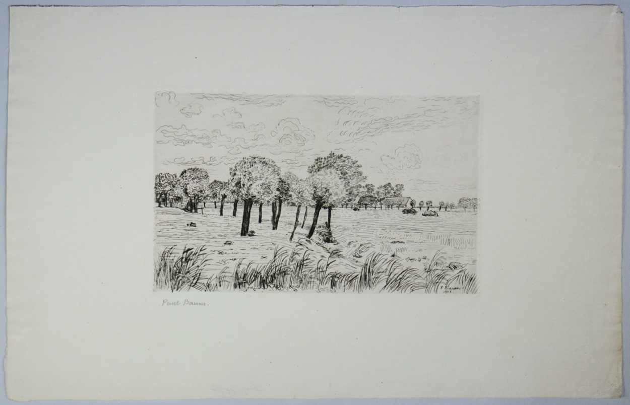 Paul Baum, Weite Wiesenlandschaft mit Bäumen