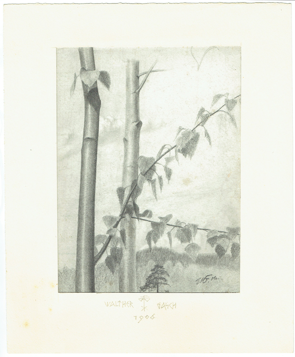Walther Gasch, Junge Birken