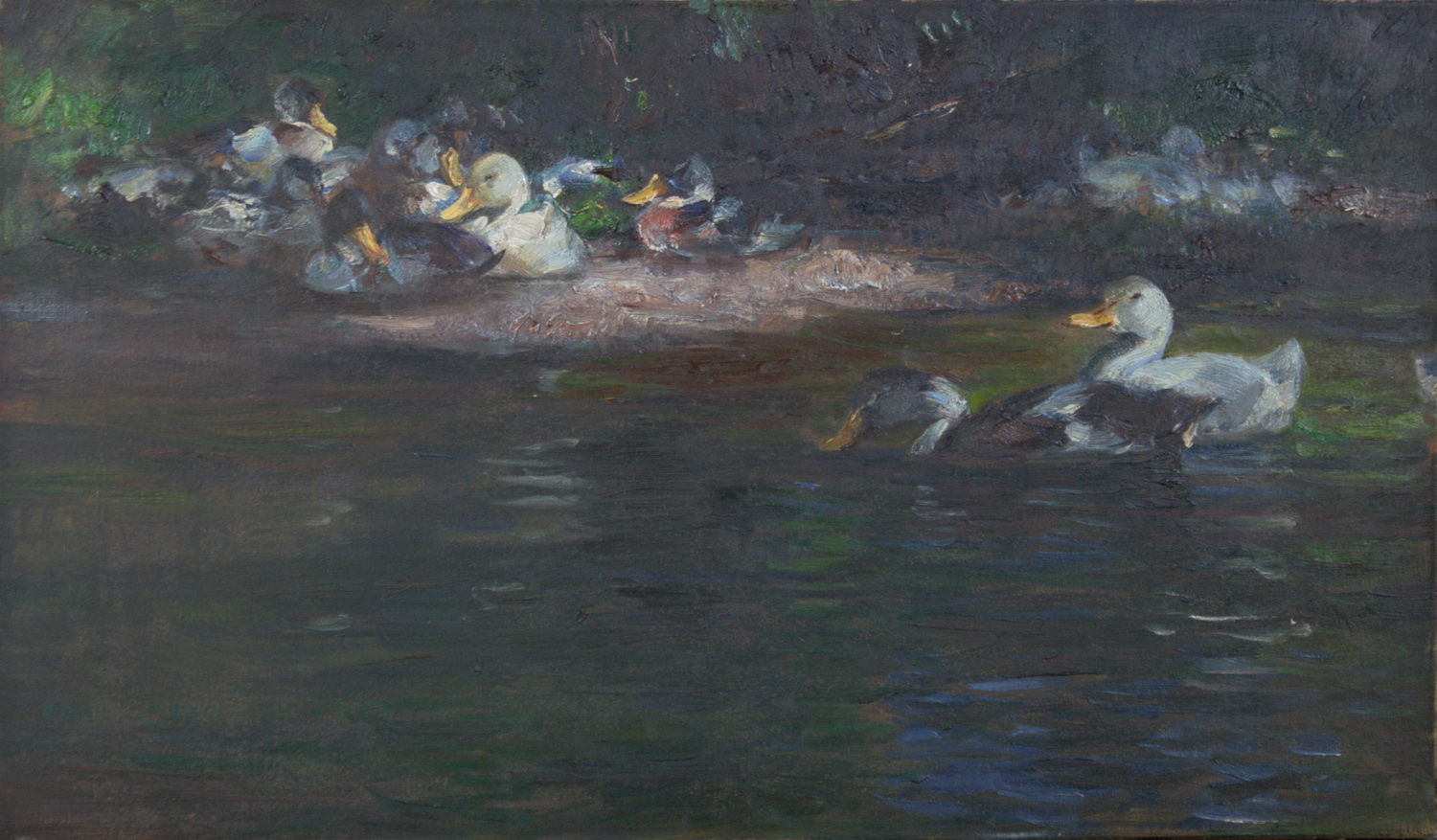 Rudolf Schramm-Zittau, Entenschar