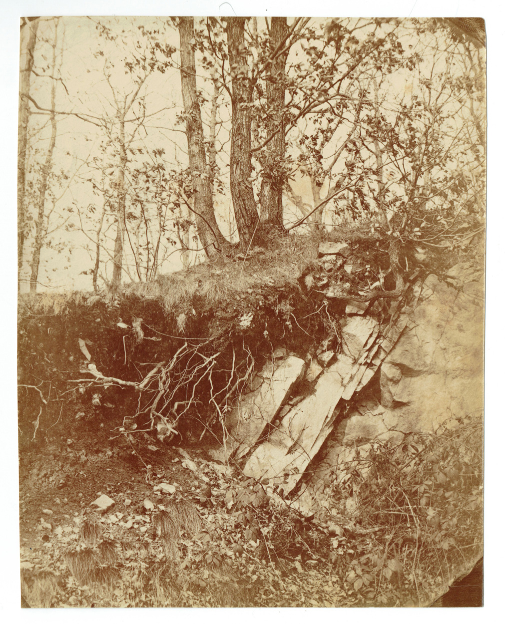August Kotzsch, Landschaftsfotografie