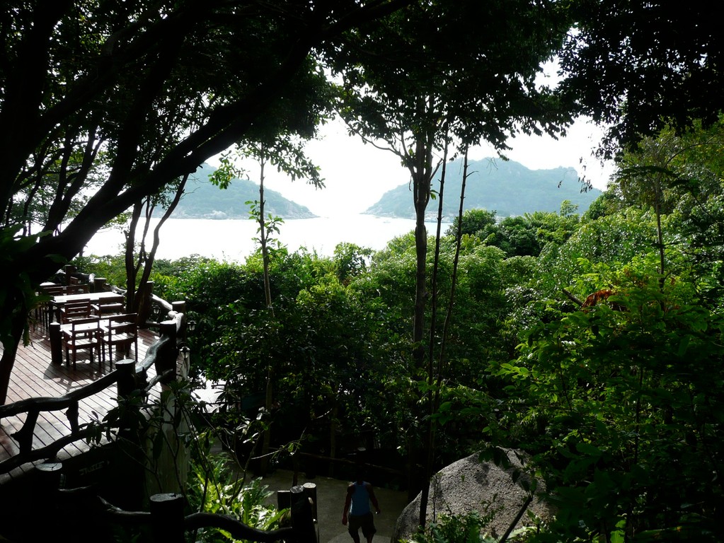 Koh Tao