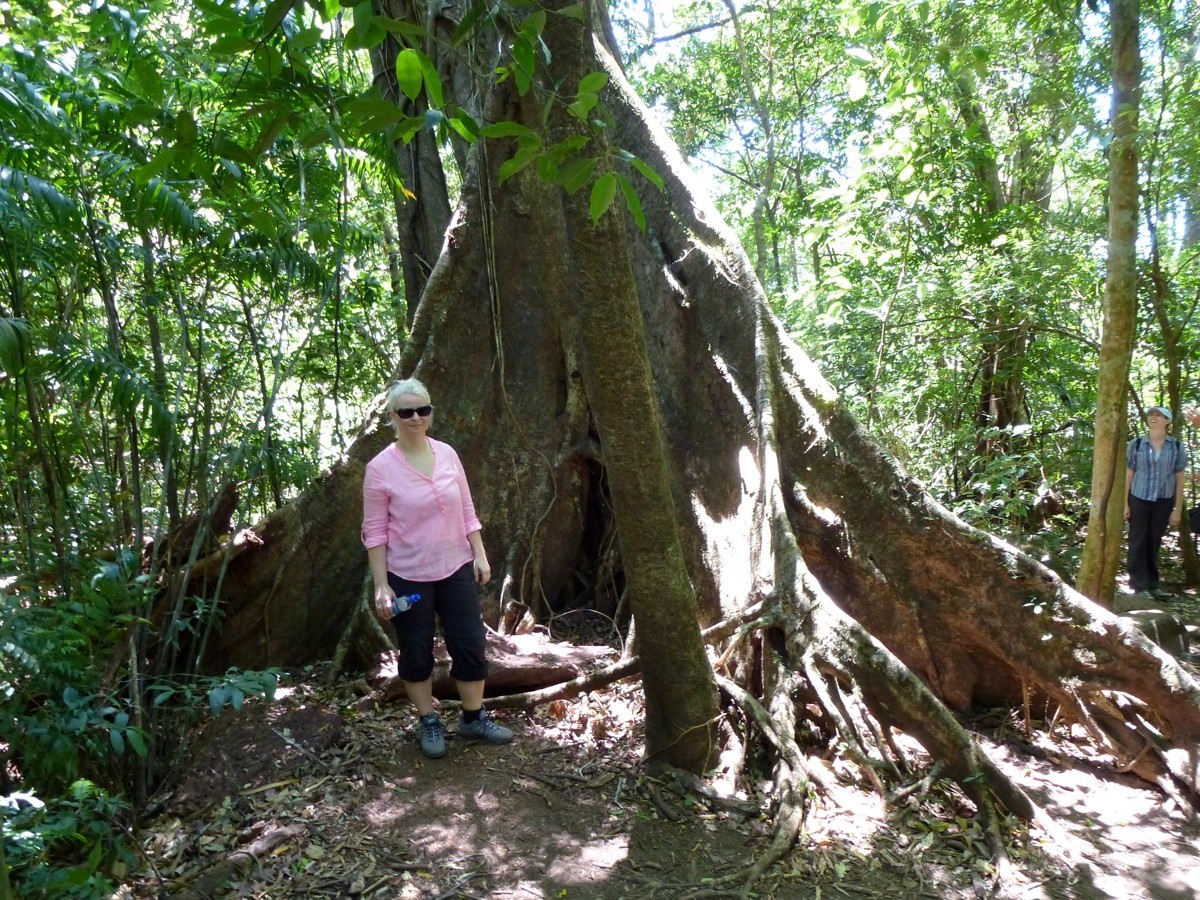 im Regenwald Costa Rica