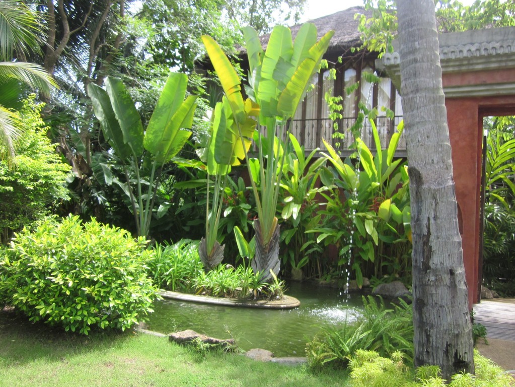 Koh Samui - Zazen