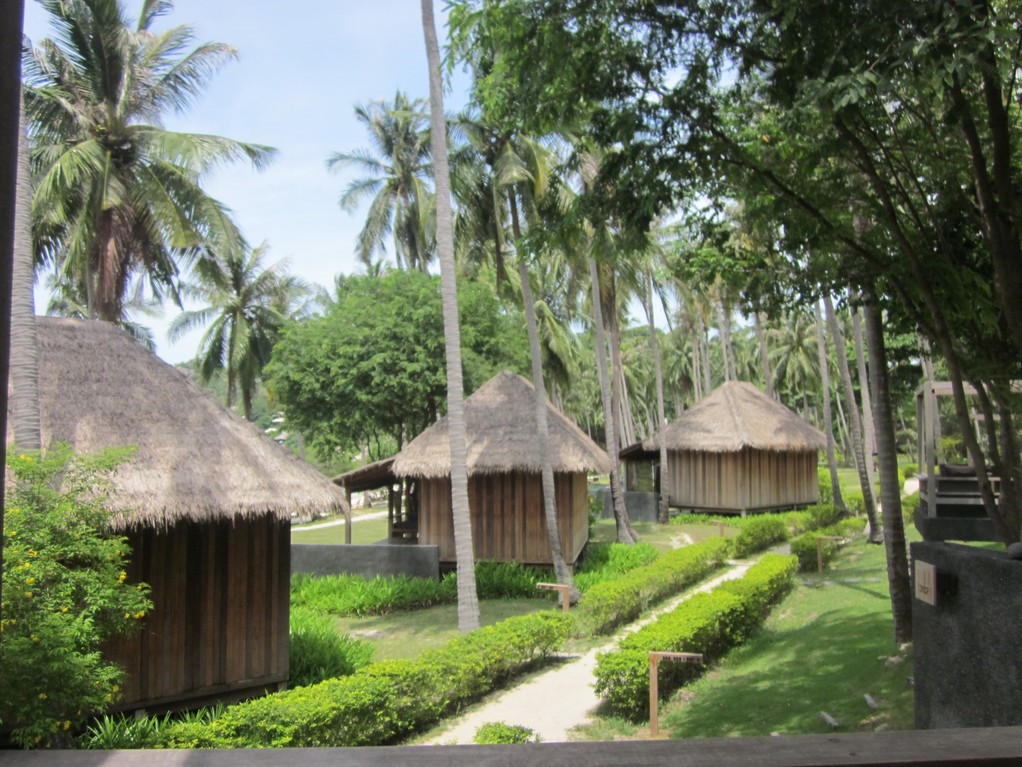 Koh Tao - Haad Tien