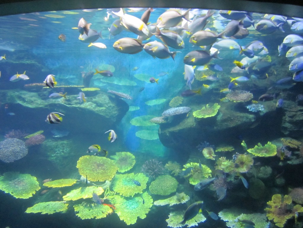 Bangkok - Ocean World