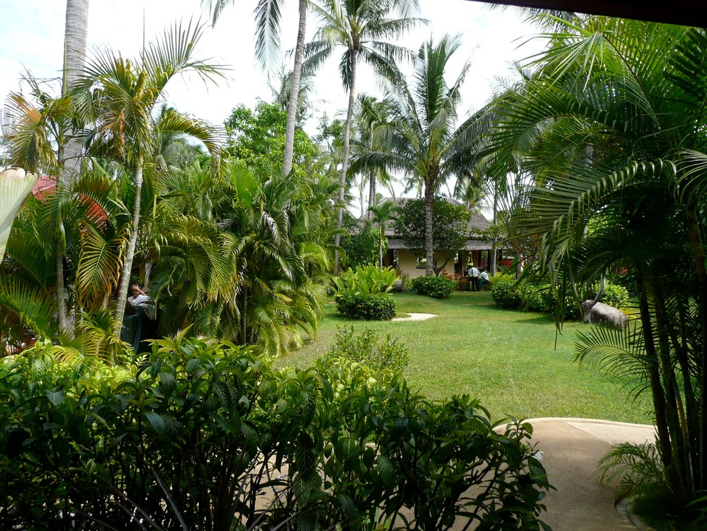 Koh Samui - Zazaen