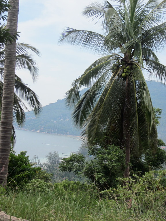 Koh Tao