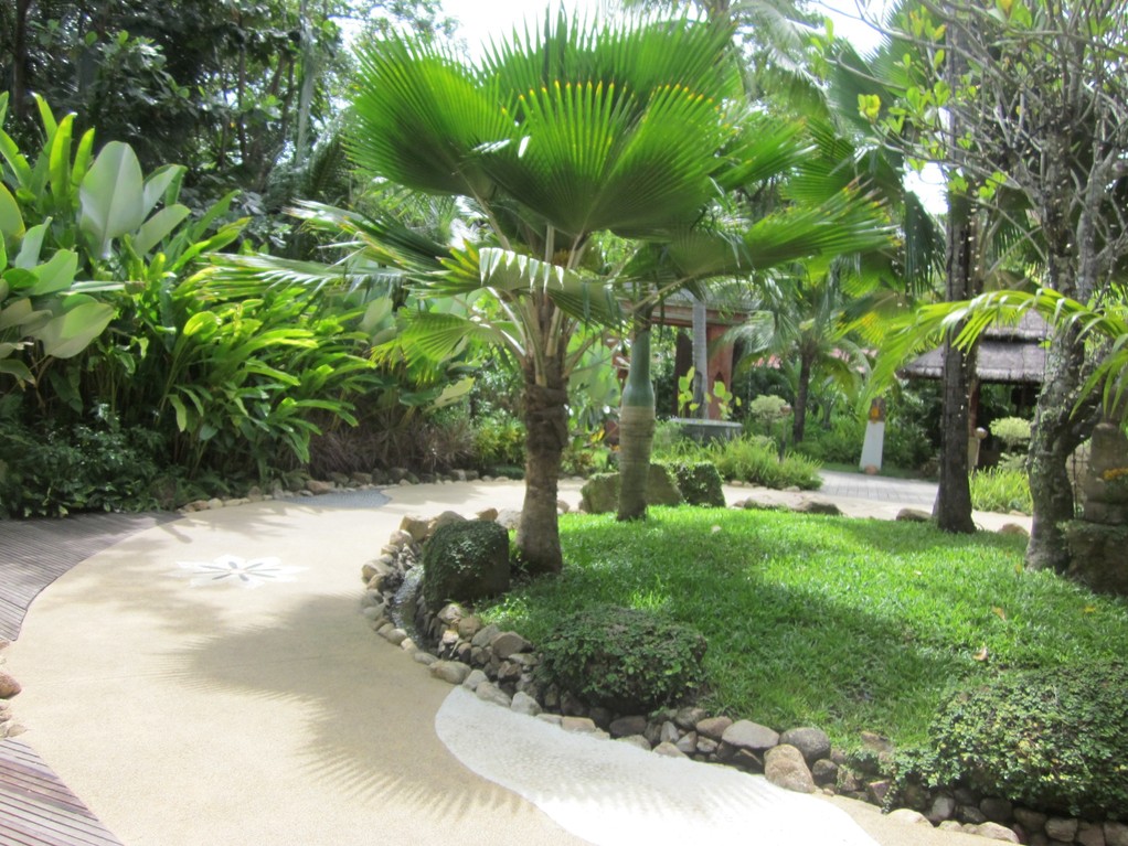 Koh Samui - Zazen