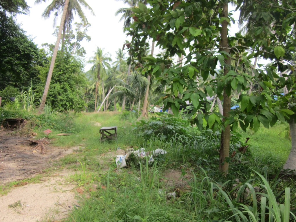 Koh Tao