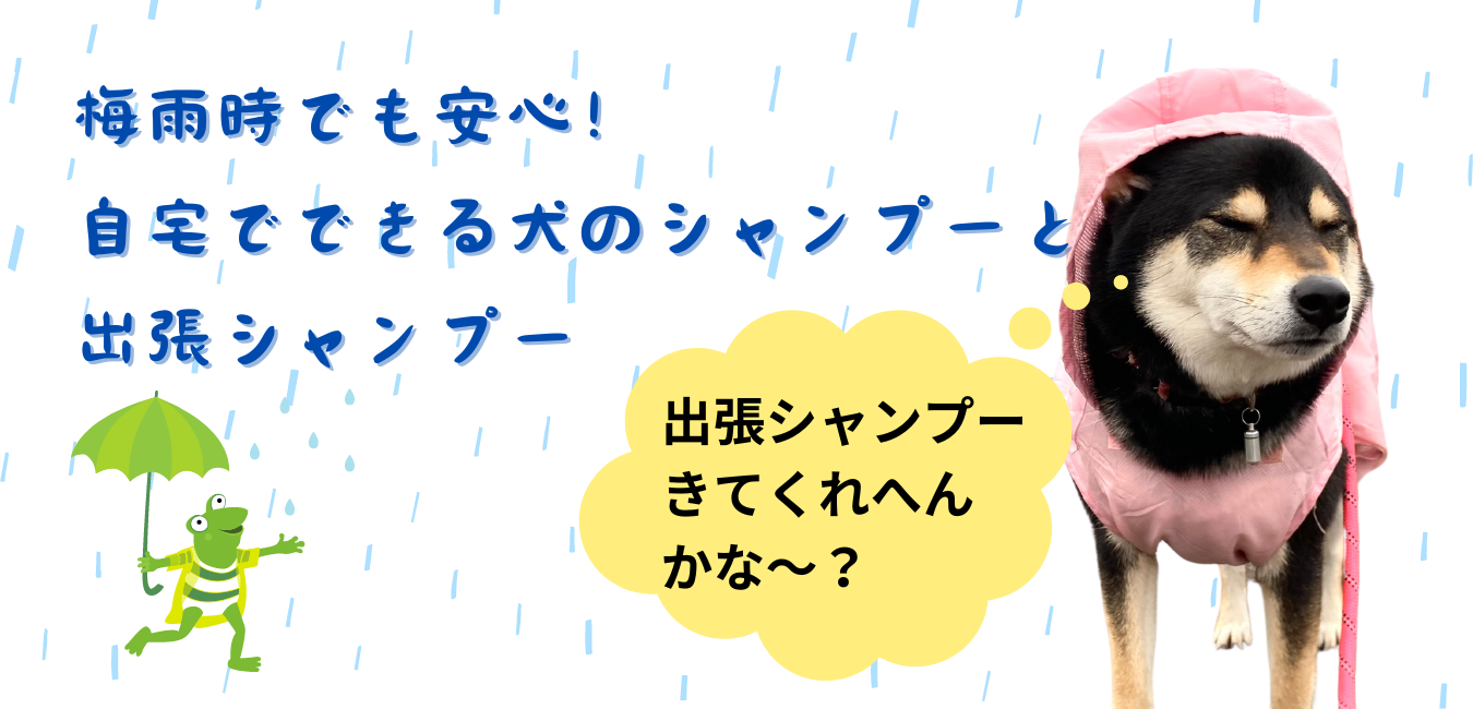 梅雨時でも安心！自宅でできる犬のシャンプーと出張シャンプー