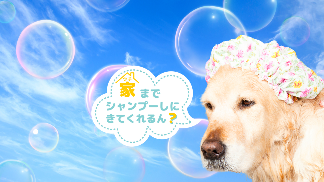 お盆休み