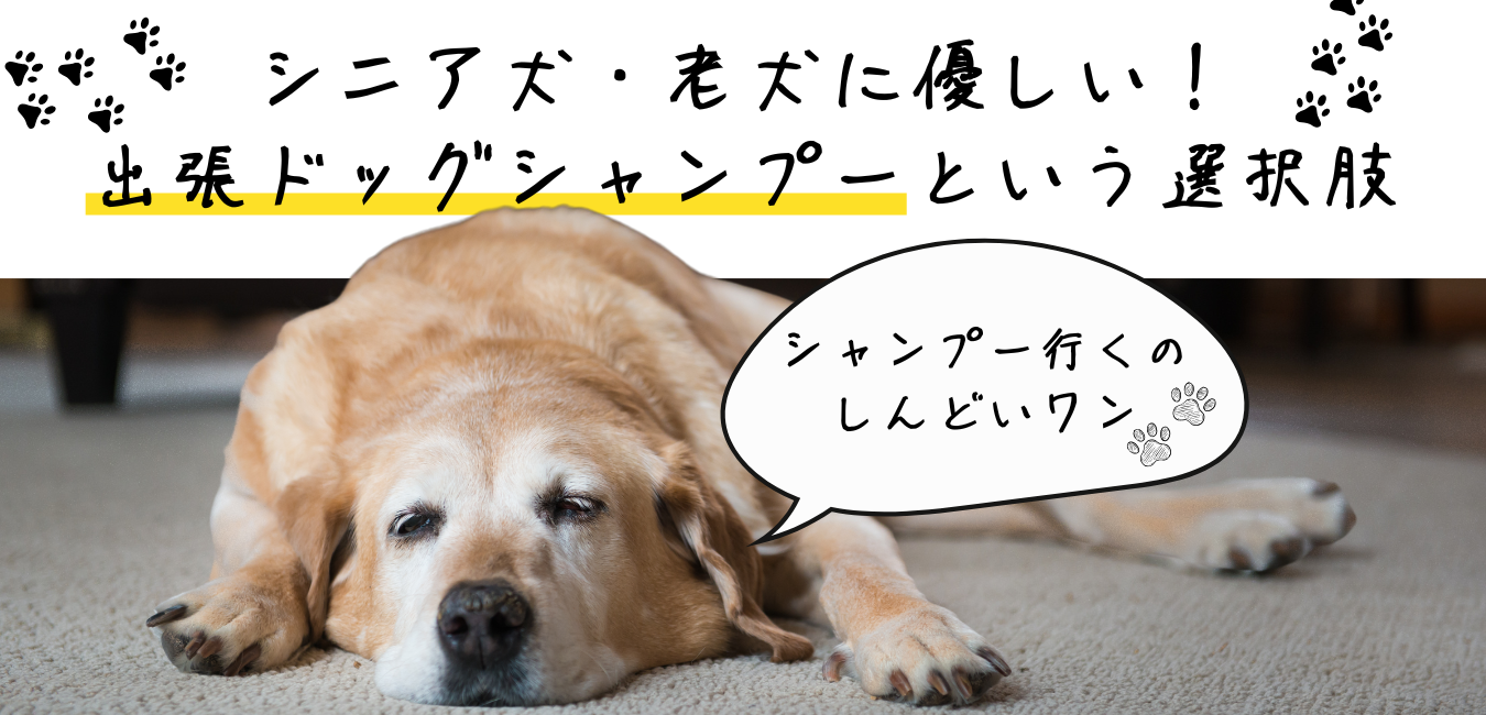 【八尾・東大阪必見！】シニア犬・老犬に優しい！出張ドッグシャンプーという選択肢