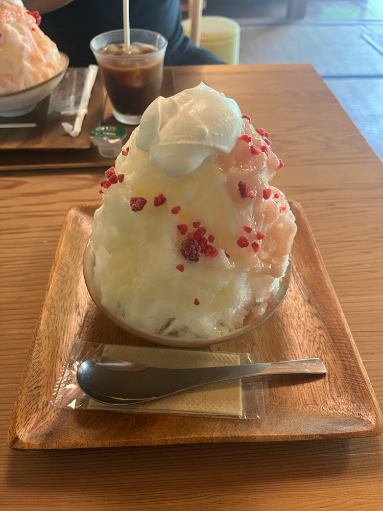 出張シャンプーとトリミングサロン料金比較画像