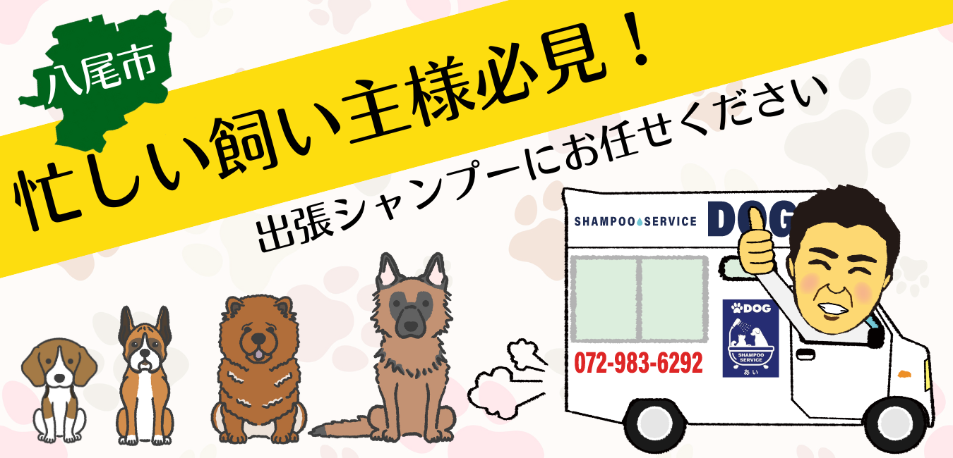 【八尾市】忙しい飼い主様必見！出張シャンプーにお任せください