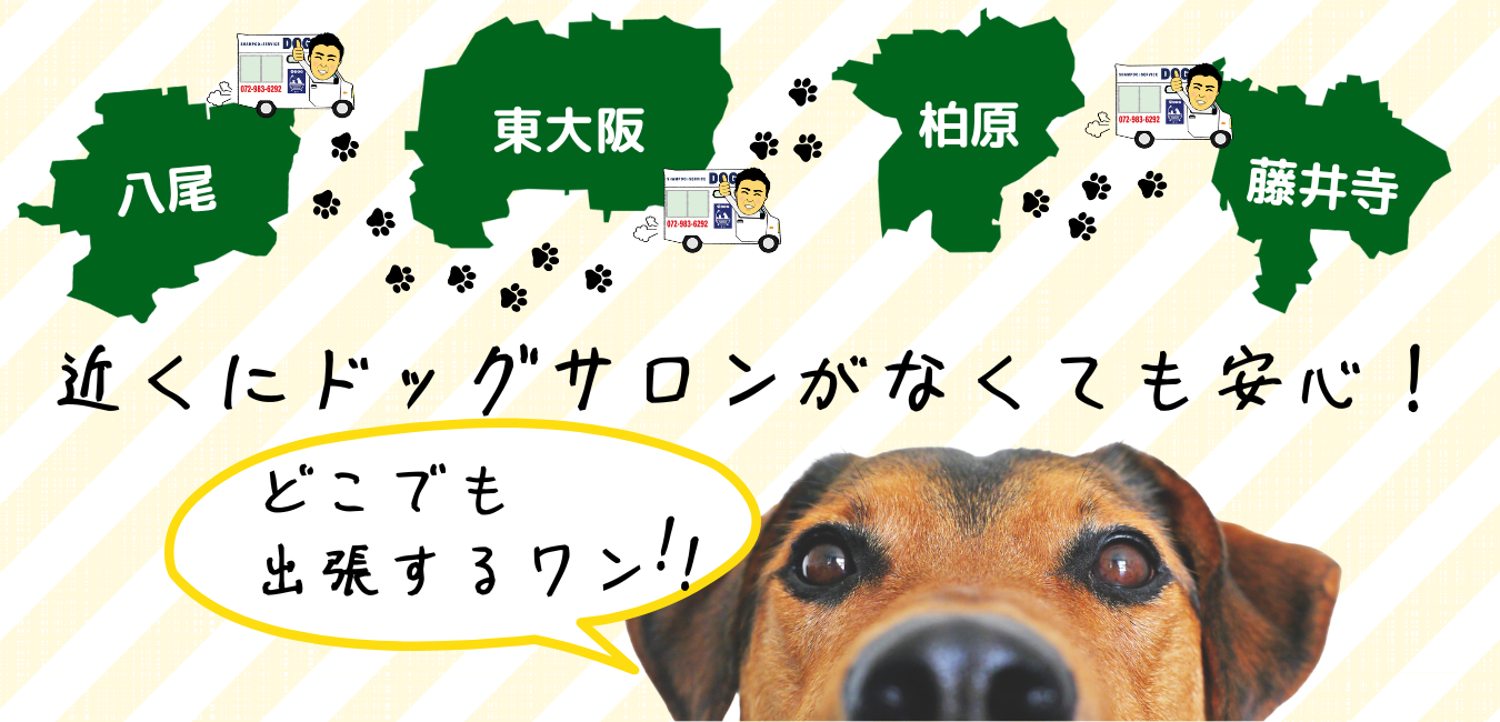 八尾・東大阪・柏原・藤井寺で近くにドッグサロンがなくても安心！出張シャンプーの魅力とは？