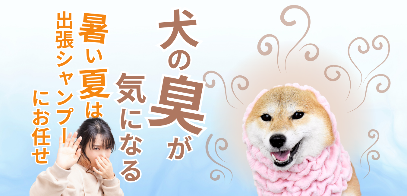 犬の臭いが気になる！？暑い夏は出張シャンプーにお任せ