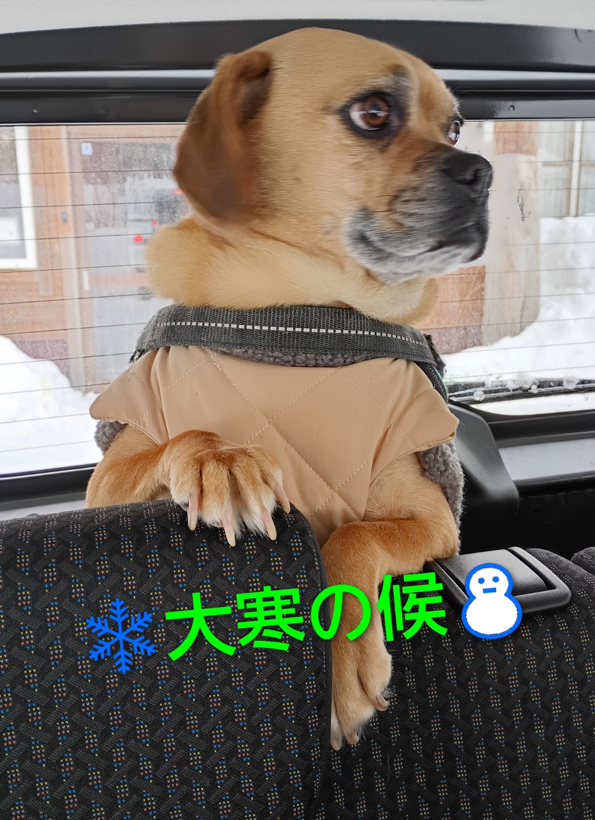 お寒う〜ございます♡また、最強〜🌀寒波がやって来るんですよ💦寒さ対策して🩷どうか乗り切って下さいね🐾冬は僕たちわんこも🧊お水がちめたくて飲めないので🆖スープにしてもらって水分補給してます(^^ゞ♪鶏ベース🐔の野菜の切れ端スープ♪人肌温度がお気に入りです♡お腹も気持ちもあっためて寒さに負けないぞっ!!(⁠◍⁠•⁠ᴗ⁠•⁠◍⁠)⁠✧⁠*⁠。
