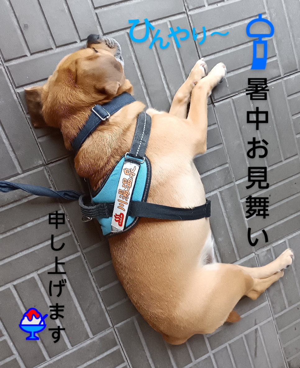 『あぢっ～(o;ω;o)💦勤務中、危険な時はみんなもやってみてね🐾』営業部長～休憩時間は過ぎましたけど❔まさかの放棄ですか！！