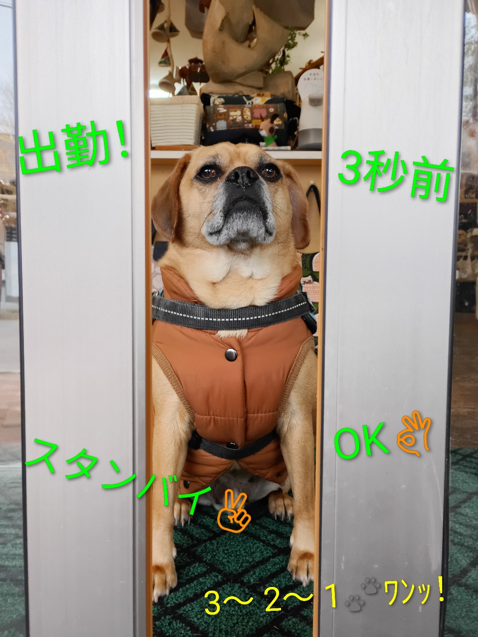 今シーズンも💪やる気満々の営業部長(⁠｡⁠•̀⁠ᴗ⁠-⁠)⁠✧出勤スタイルも素敵ですね〜カッコいいですよ👏惚れ惚れしますね！そそくさとお帰り💨の退社のお姿は内緒にしておきましょうね♡(^_-)