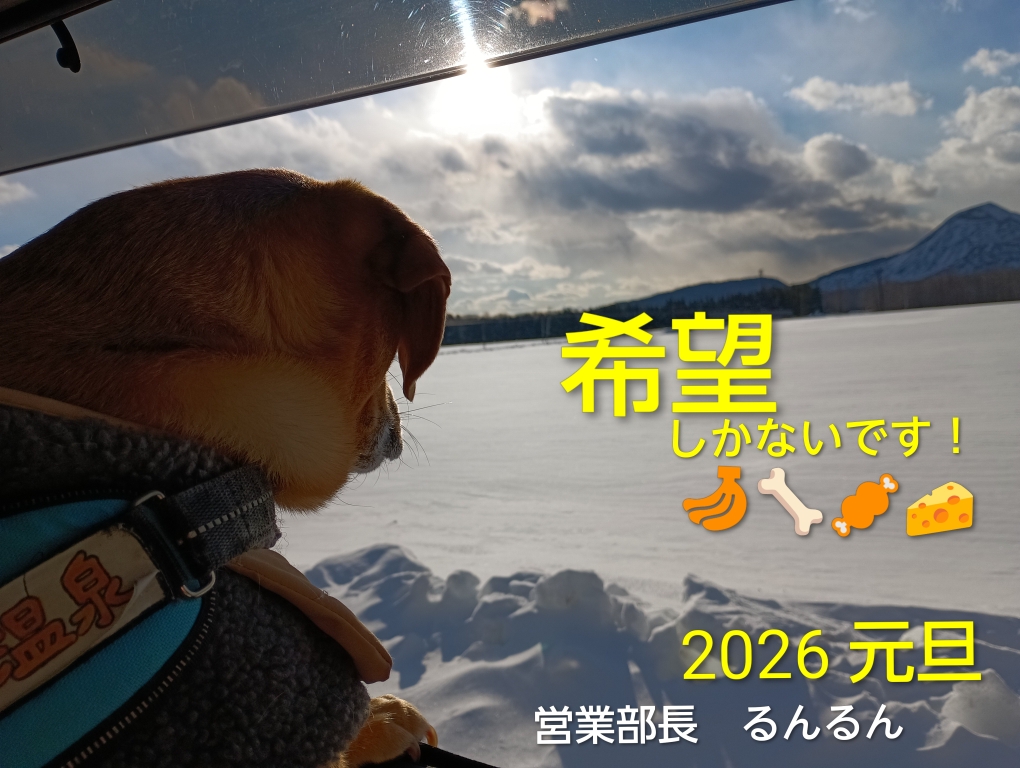 明けましておめでとうございます！！🌄犬としては、お利口にばかりはしていられませんが、看板犬の名に恥じぬよう置かれたところで咲きたいと思います🌷今年も皆さんよろしくお願いしますU^ｪ^U♪『営業部長、わかってます💧どうか頼みますよ〜♡』
