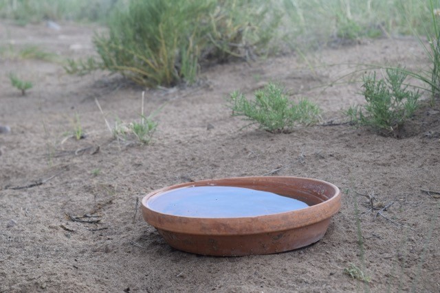 A terra cotta bowl of water waits in the desert outside my hermitage at Nada in Crestone, CO