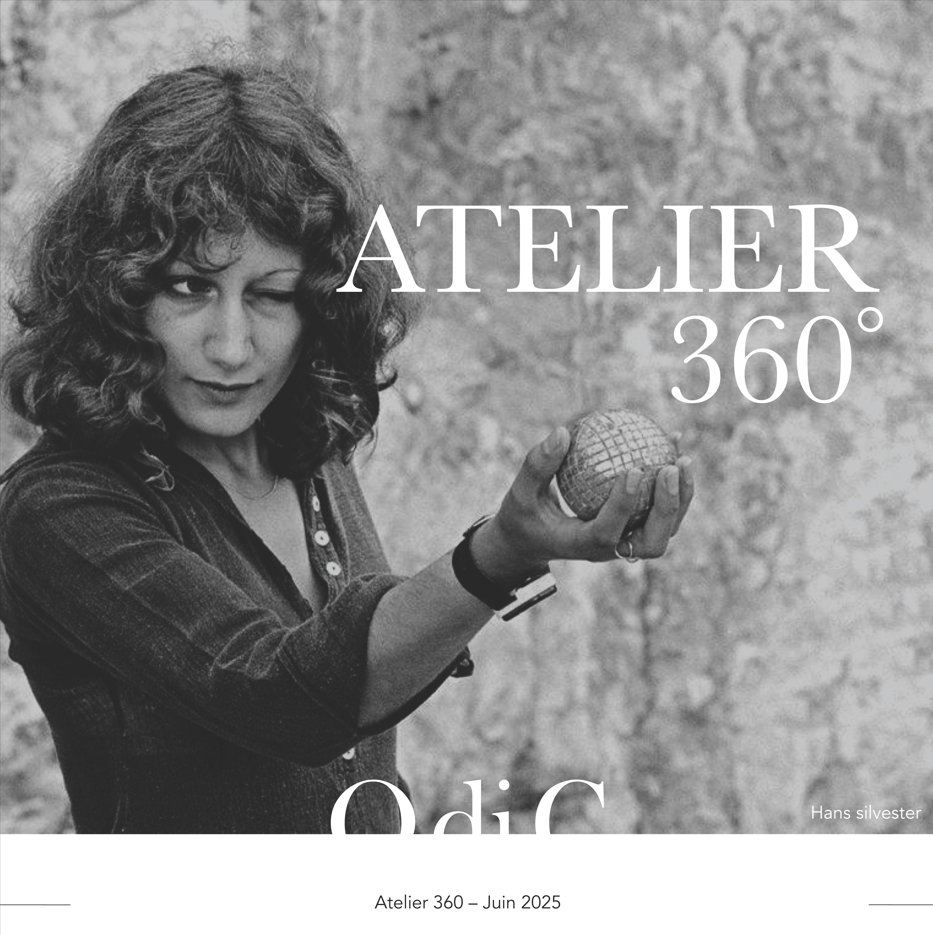 360° workshop : Presentation