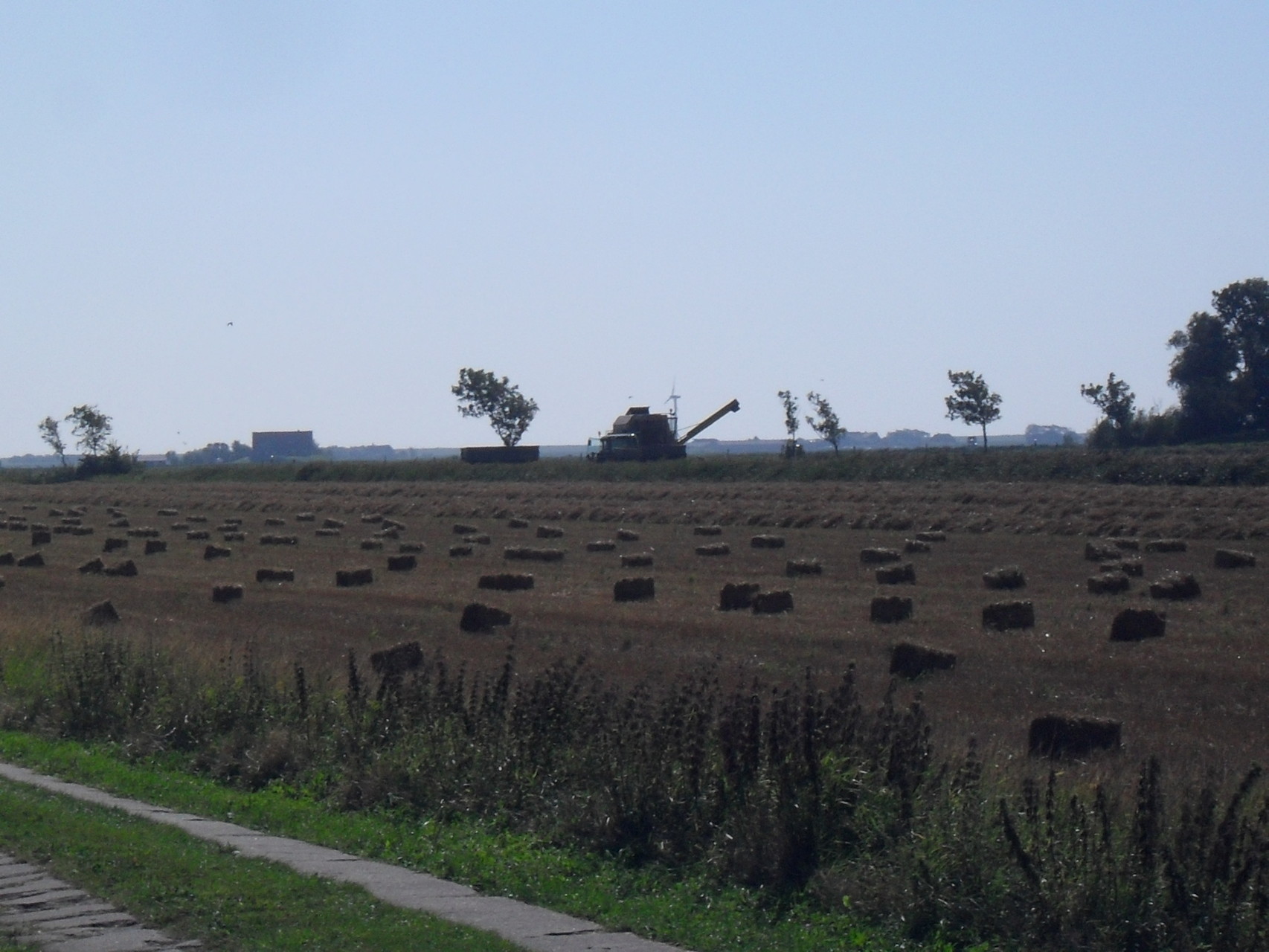 die Bauern auf Pellworm bei der Ernte