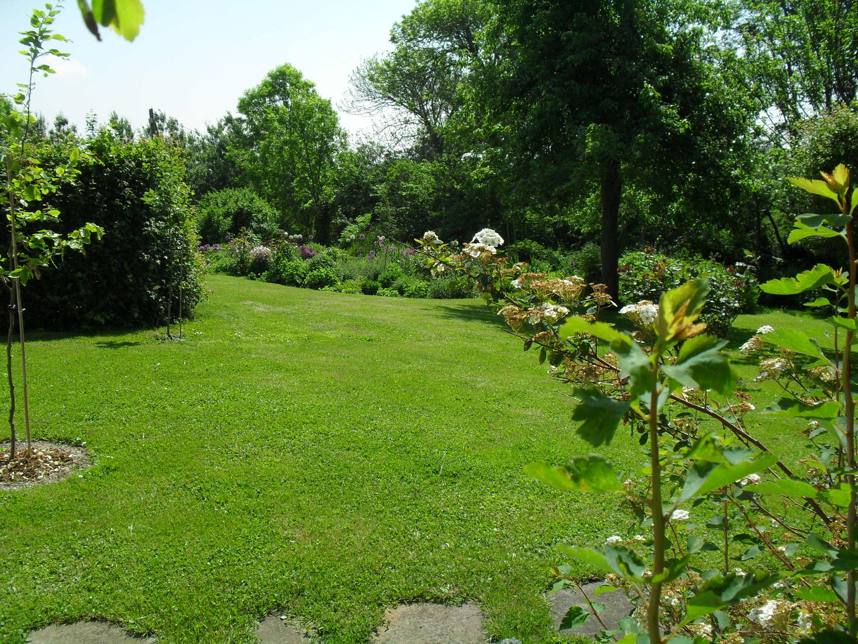der erste Blick in den Garten 