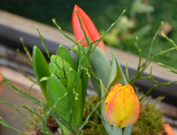 Vielleicht liegt es ja auch daran, dass nun endlich wieder ein Hauch von Frühling zu spüren ist.