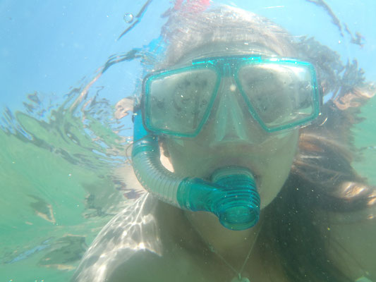 snorkeling à Eden