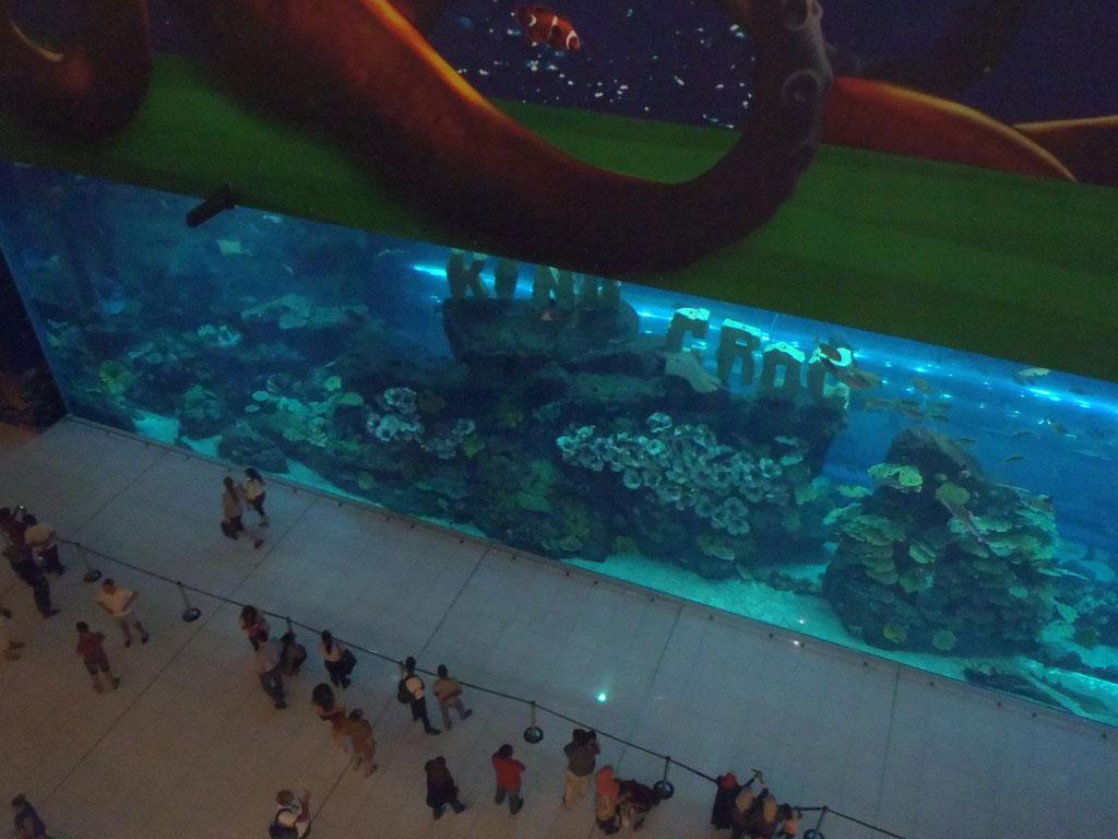 l'aquarium du centre commercial