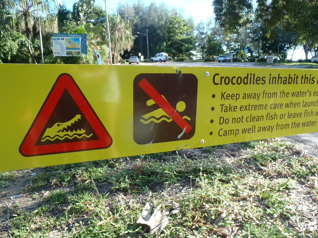 attention aux crocodiles !