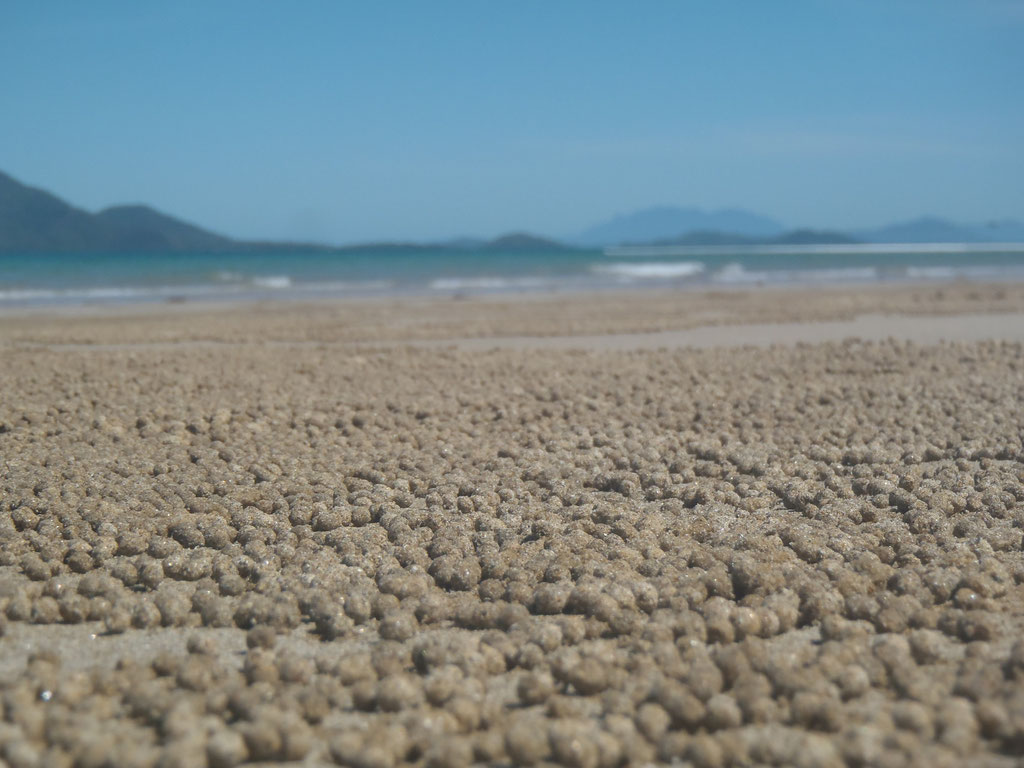 les boulettes de sable à mission beach