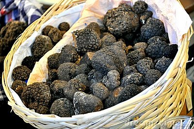 Truffe du Périgord