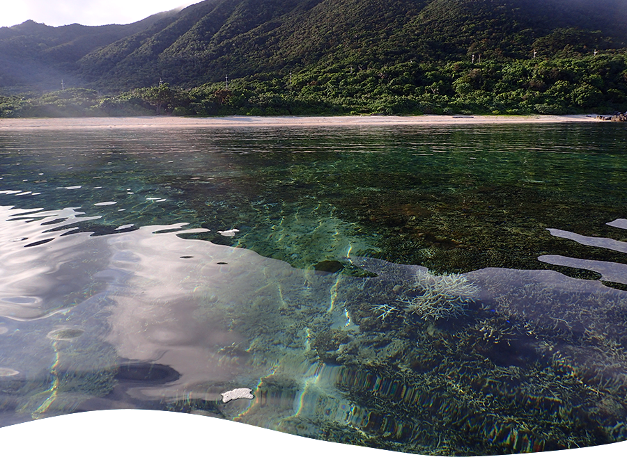 透き通った海とサンゴ礁