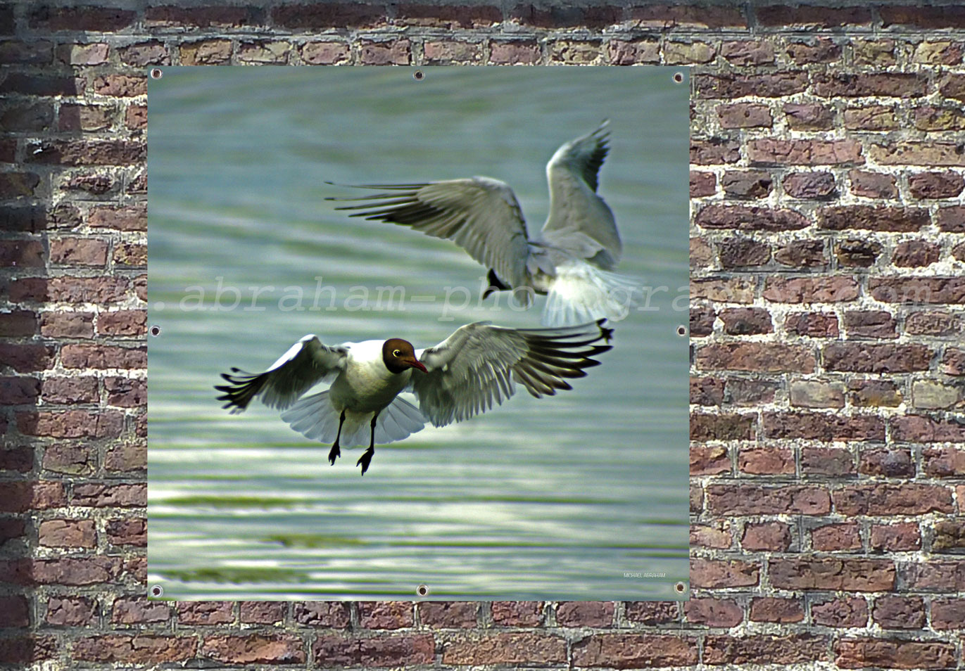 Wetterfeste Bilder für Draussen: Bringen Sie Ihre Kunst in die Natur!