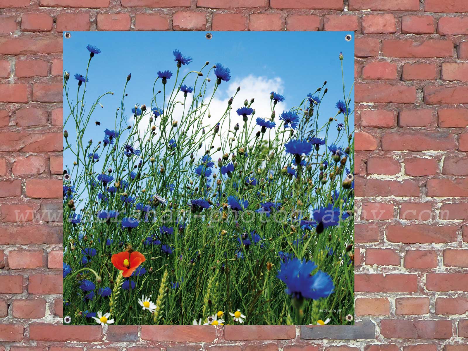 Wetterfeste Bilder für Draussen: Bringen Sie Ihre Kunst in die Natur!