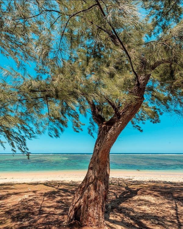 lagon la saline les bains