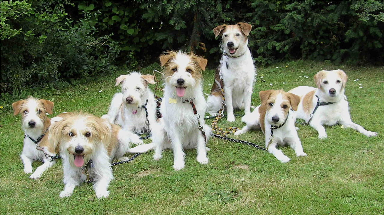 2008,Wara,Allegra,Caschira,Bastienne,Landra,Chicca,Mirka
