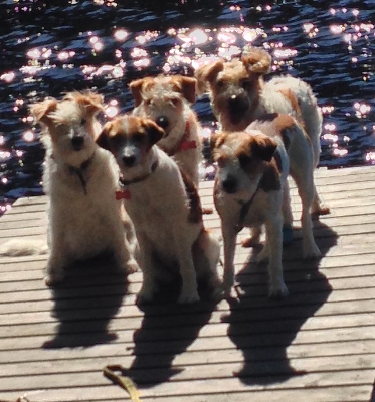 2019-Bastienne-Intraa-Chicca-Manka-Ranya