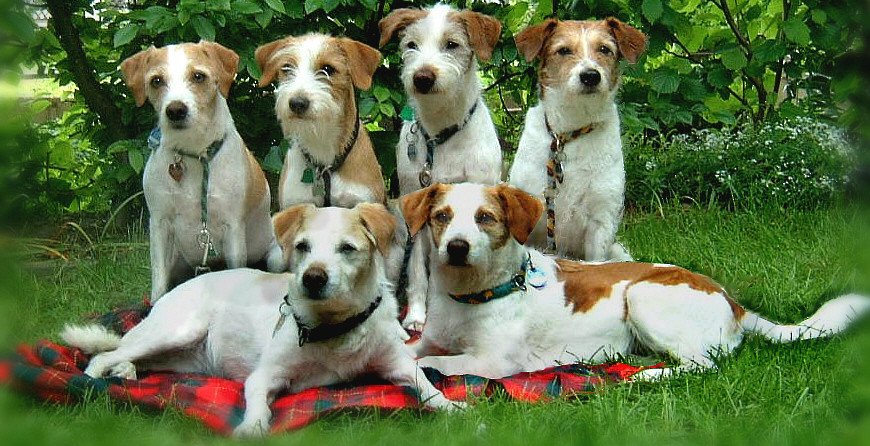 2003 Mirka,Wara,Caschira,Landra,Efra,Penelope