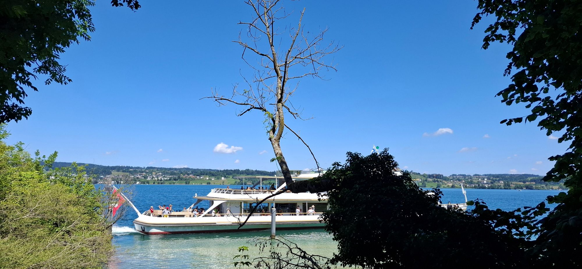 Ausflug zur Insel Ufenau