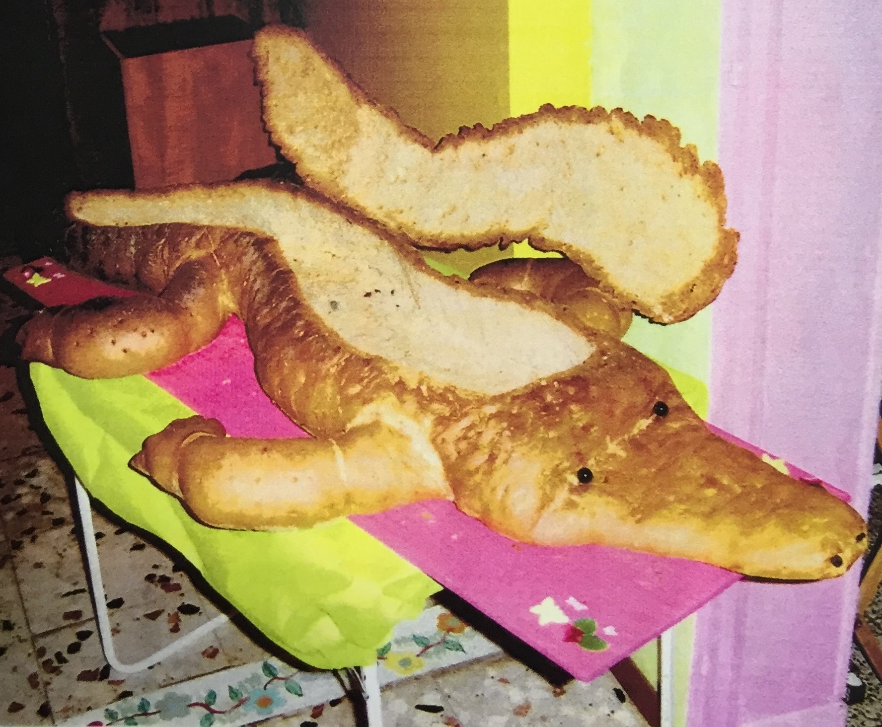 crocodile garni