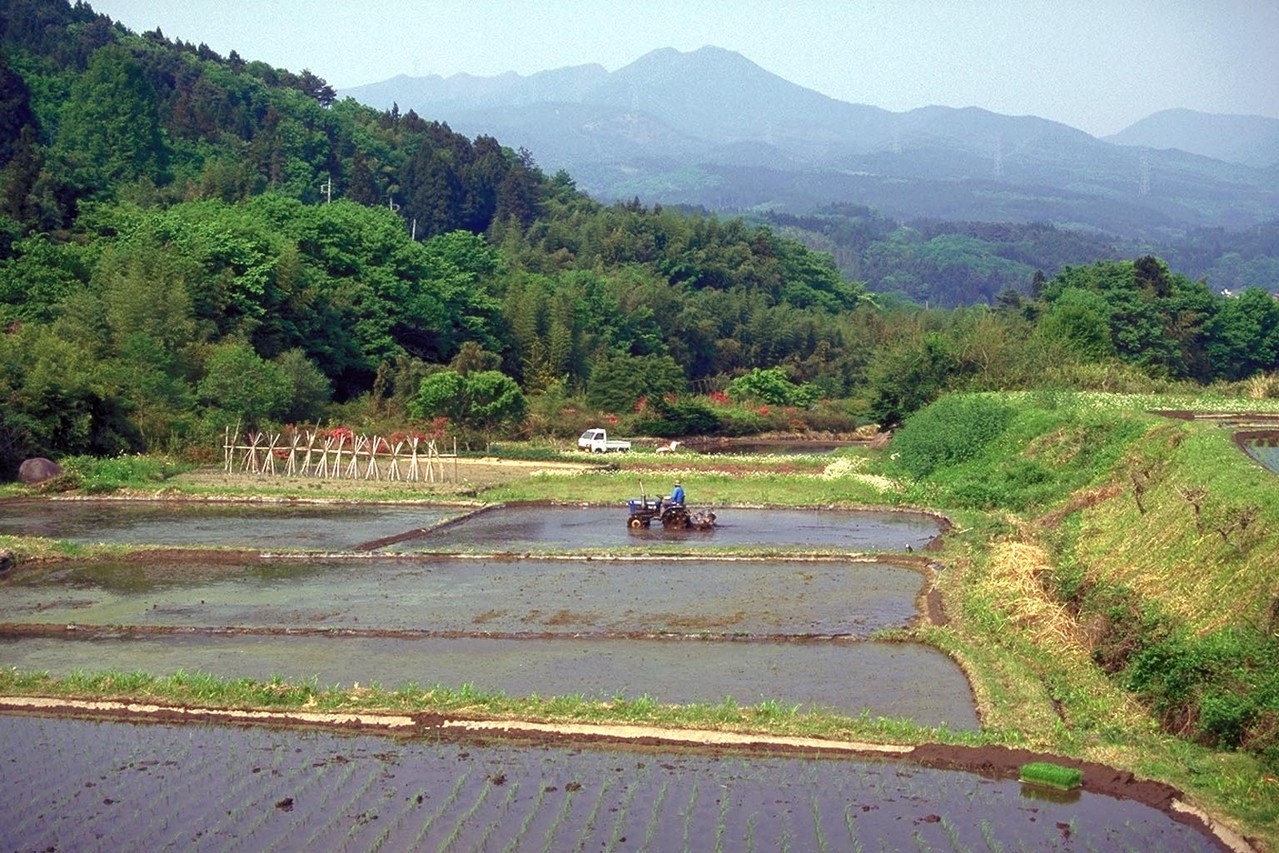 現代中山間地域農業論 柿雅之著 現代中山間地域農業論 柿雅之著 Amazon.co.jp: 現代中山間地域